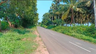 Farm Land Sale in Kinathukadavu Near  Coimbatore NH to Land Just 25 KMOnRoad LandVacant Land [upl. by Sorel]