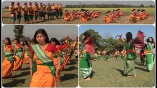 All Traditional dances of The Bodos BagurumBa Jaraphagla Bardwi Sikhla Daosri Delai Sotrali [upl. by Nwahsud]