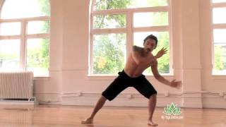 Introduction to Capoeira [upl. by Nick805]