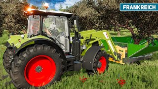 LS22 Olivenernte mit Spezialgerät  Frankreich 81  LANDWIRTSCHAFTS SIMULATOR 22 [upl. by Ishii]