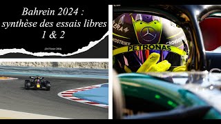 Essais libres 2 Bahrain 2024  Hamilton quotchoquéquot par le rythme de la W15 [upl. by Gael]