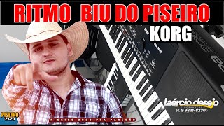 RITMO  BIU DO PISEIRO  teclado  KORG PA [upl. by Solitta]