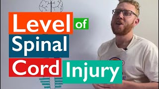 Spinal Cord Injury  Levels of injury [upl. by Stanfill]