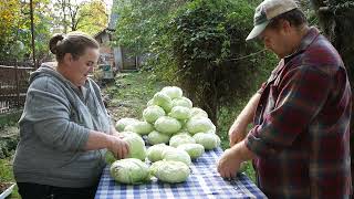 Varză murată la butoi și Cum se pune varza la murat la noi [upl. by Cybil]