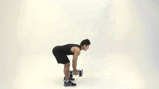 Dumbbell Bent Over Lateral Raise [upl. by Sayed883]