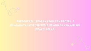 PRAKTIKUM BIOLOGI PENGAMATAN FOTOSINTESIS MENGHASILKAN AMILUM REAKSI GELAP [upl. by Akiraa302]