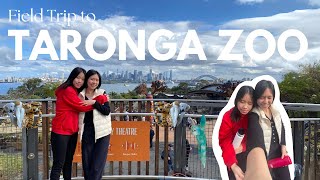 VLOG  Field Trip to Taronga Zoo [upl. by Missi947]