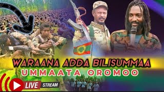 Waraana Bilisummaa Oromoo Oroedit Onkoloolessa 262024 itti dhiyaadha [upl. by Hildie475]