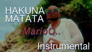 HAKUNA MATATA  MarioO Instrumental  Lylics 2k views 1 hour ago [upl. by Ahsinat]