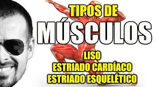 Tipos de Músculos Liso Estriado Cardíaco e Esquelético  Sistema Muscular  VideoAula 081 [upl. by Trevorr]