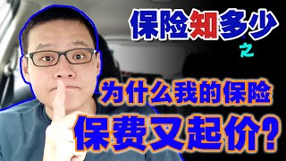 为什么我的保险保费又起价？Why is my insurance premium increase again [upl. by Yelhsa]