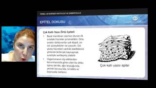 TEMEL VETERİNER HİSTOLOJİ VE EMBRİYOLOJİ  Ünite3 Özet [upl. by Ching]