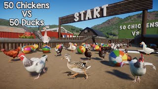 50 Chickens VS 50 Ducks in Planet Zoo included Sussex Chicken Australian Wood Duck and Rooster [upl. by Aneehsal335]