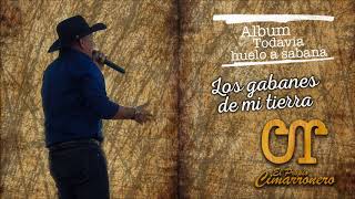 Los gabanes de mi tierra  Carlos Rico  Audio [upl. by Sorvats]