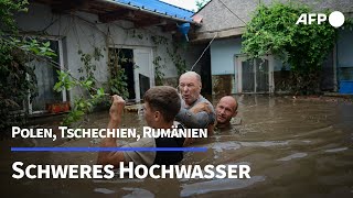 Schwere Überschwemmungen in Polen und Tschechien  AFP [upl. by Maeve]