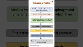 Mechanism of vomiting  Adult Health Nursing  Anatomy amp Physiology  Ritu Maam youtubeshorts yt [upl. by Griseldis]