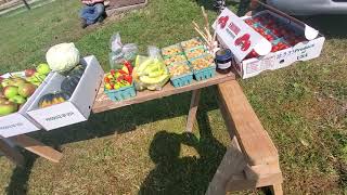 Trip ro the Owl Creek Produce Auction [upl. by Rattray]