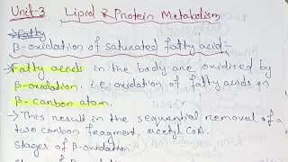 Lipid and Protein Metabolism Unit 3 Semester 4 paper 10 bsczoology biochemistry [upl. by Radie]