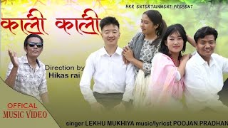 Kali KaliNew Nepali Song 2024Lekhu MukhiyaGaurab Salina  Mukesh Shrijana [upl. by Cornwall748]