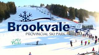 Brookvale Provincial Ski Park [upl. by Enelloc]