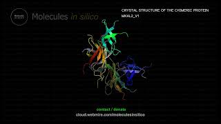 Molecules in silico ･ CRYSTAL STRUCTURE OF THE CHIMERIC PROTEIN MKAL2V1 [upl. by Mickey]