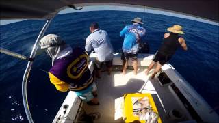 Deep Sea Fishing from Mackay on Mates Rates [upl. by Ernestus788]