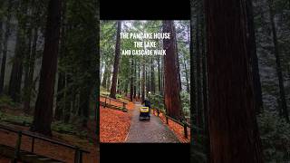 Center Parcs  Longleat 🌲 holiday October autumn forest longleat centerparcs pancakehouse [upl. by Neu857]