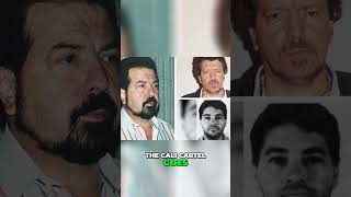 What made the Cali Cartel so powerful facts history netflix [upl. by Chappie]