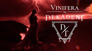 DEKADENT  Vinifera  OFFICIAL LYRIC VIDEO [upl. by Areikahs]