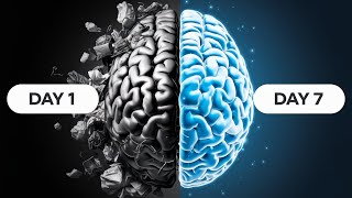 Brain Exercice to Increase Memory Power and Intelligence  How to Increase Memory Power [upl. by Grissom]