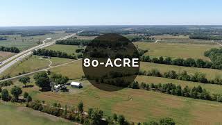 80Acre Wayne County Absolute Farm Auction [upl. by Sigrid]