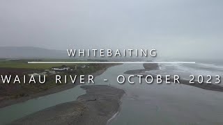 Whitebaiting the Waiau River Southland  October 2023 067 [upl. by Adda]