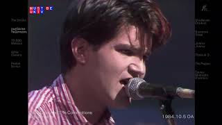 Lloyd Cole and the Commotions  Rattlesnakes Live 1984 [upl. by Noswal]