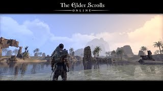 Daggerfall Covenant Part 1 UltraWide 3440x1440  The Elder Scrolls Online  Red Guard Warden [upl. by Enialb192]