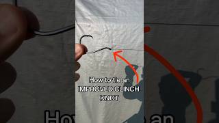 How to Tie an Improved Clinch Knot 🔥 shorts [upl. by Mather229]