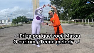 Tecno melody  Friza por que você matou o Curirim  DJ Junior Salles vídeo clip Oficial [upl. by Asetal]