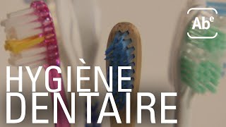 Brosses à dents dentifrices blanchiment… souriez  ABERTS [upl. by Adirahs]