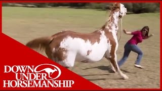 Once Bitten Twice Shy How to Train a Dangerous Dominant Horse [upl. by Mcafee]