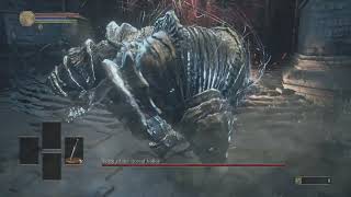 Dark Souls III  SL1  Vordt of the Boreal Valley no damage [upl. by Nirraj]