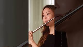 😛Double Triple Quadruple Tonguing Progressions flute [upl. by Nyladnor938]