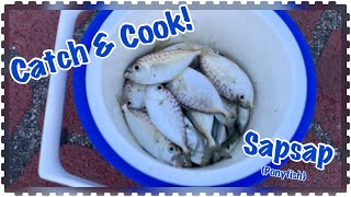 Catch and Cook Sinigang na Sapsap Pony fish [upl. by Nils]