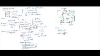 Pancreatic Hormones Insulin Glucagon Somatostatin [upl. by Ylrebmi]