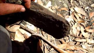 Old Axe Head Found InThe Scrub [upl. by Batha]