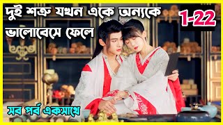 Different princess Movie explain in Bangla।। all episode।।Ep1 to 22।।chinese movie bangla dubbed [upl. by Oigaib]