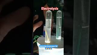 💥electrolysis experiment📚 electrolysisexperiment science chemistry salt sciencepur [upl. by Myrna]