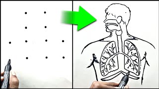 12 Dots Human Respiratory System Diagram  how to Draw Human Respiratory System Diagram ✅ Easy ✅ [upl. by Ahsinut]