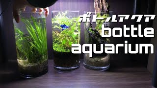 ボトルアクアリウム【typeシリンダー立ち上げ】cylinder AQUARIUM [upl. by Lledner]