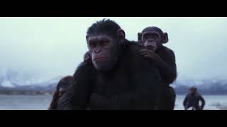 War for the planet of Apes in English Full HD [upl. by Riebling500]