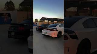 Daytona 392 Scatpack vs Mustang 50 outside look overview [upl. by Lipkin]