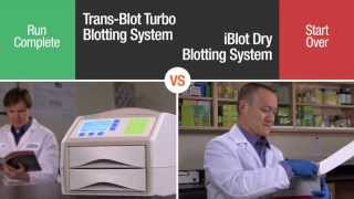 Battle of the Blotters TransBlot® Turbo™ vs iBlot Transfer Systems [upl. by Faydra]